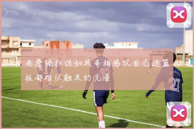 老詹隔扣仍如风夸梅感叹自己连篮板都难以触及的无奈