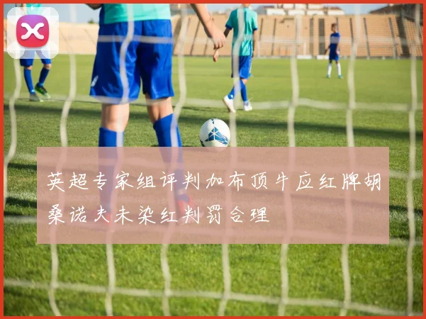 英超专家组评判加布顶牛应红牌胡桑诺夫未染红判罚合理