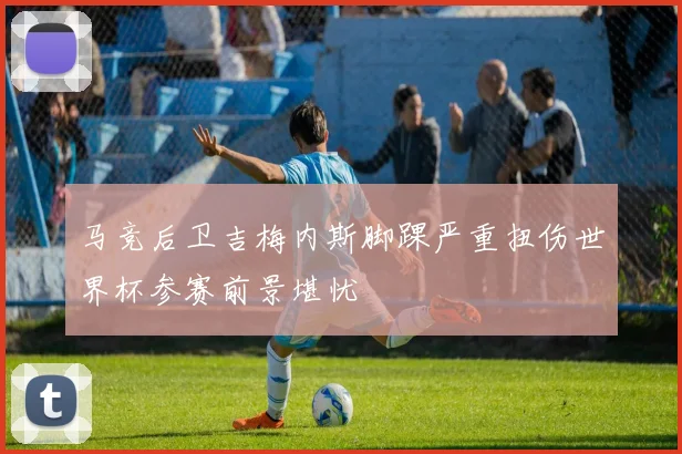 马竞后卫吉梅内斯脚踝严重扭伤世界杯参赛前景堪忧